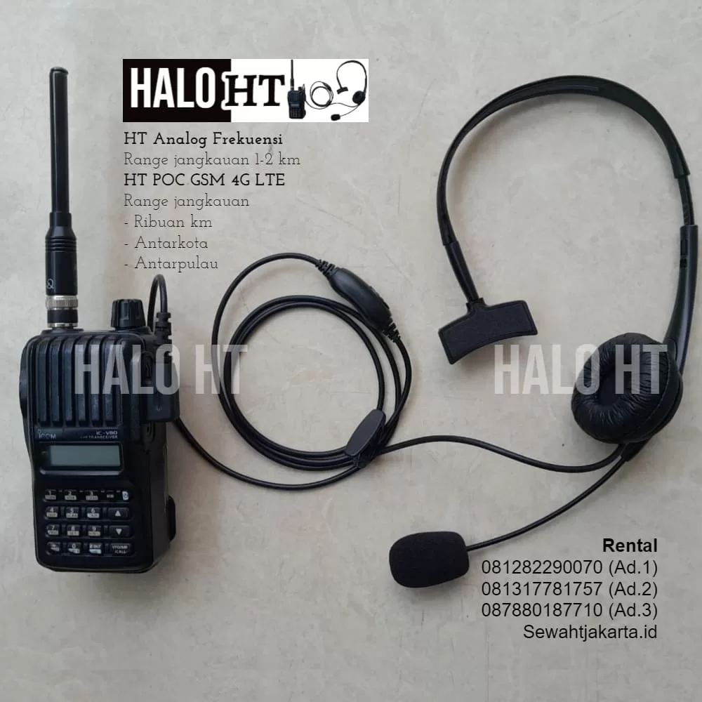 HALO HT SEWA HT JAKARTA ID HALO RENTAL SEWA HANDY TALKY JAKARTA